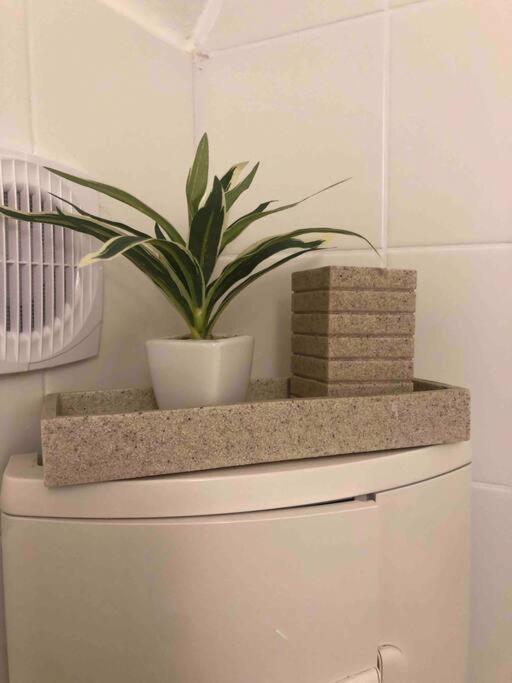 Milena Apartment غراتس المظهر الخارجي الصورة